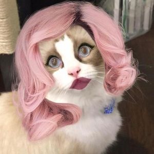 Meet your Posher, ThisYaya